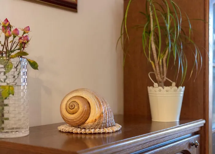 Vacation Duilo Donji Zemunik