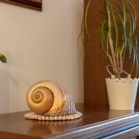 Vacation Duilo Donji Zemunik